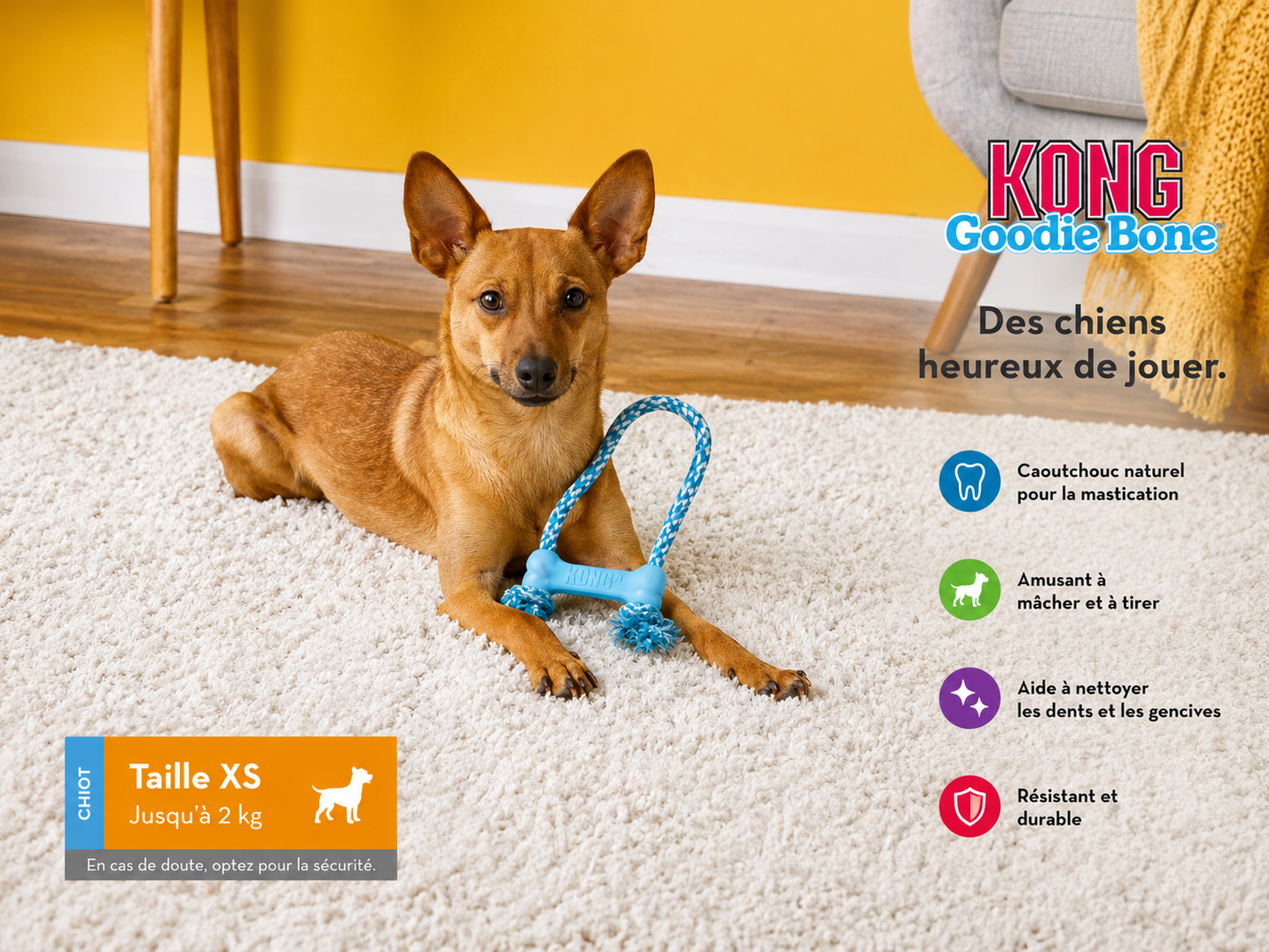 Bonie pour chiot avec corde (XS) KONG