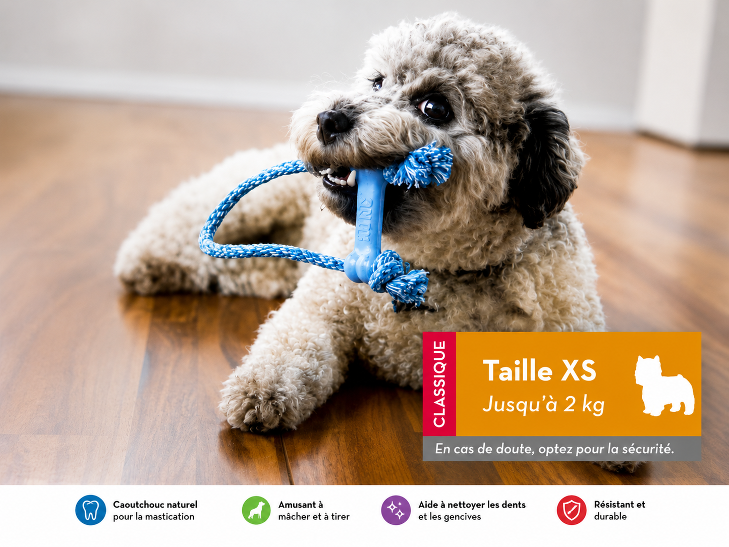 Bonie pour chiot avec corde (XS) KONG
