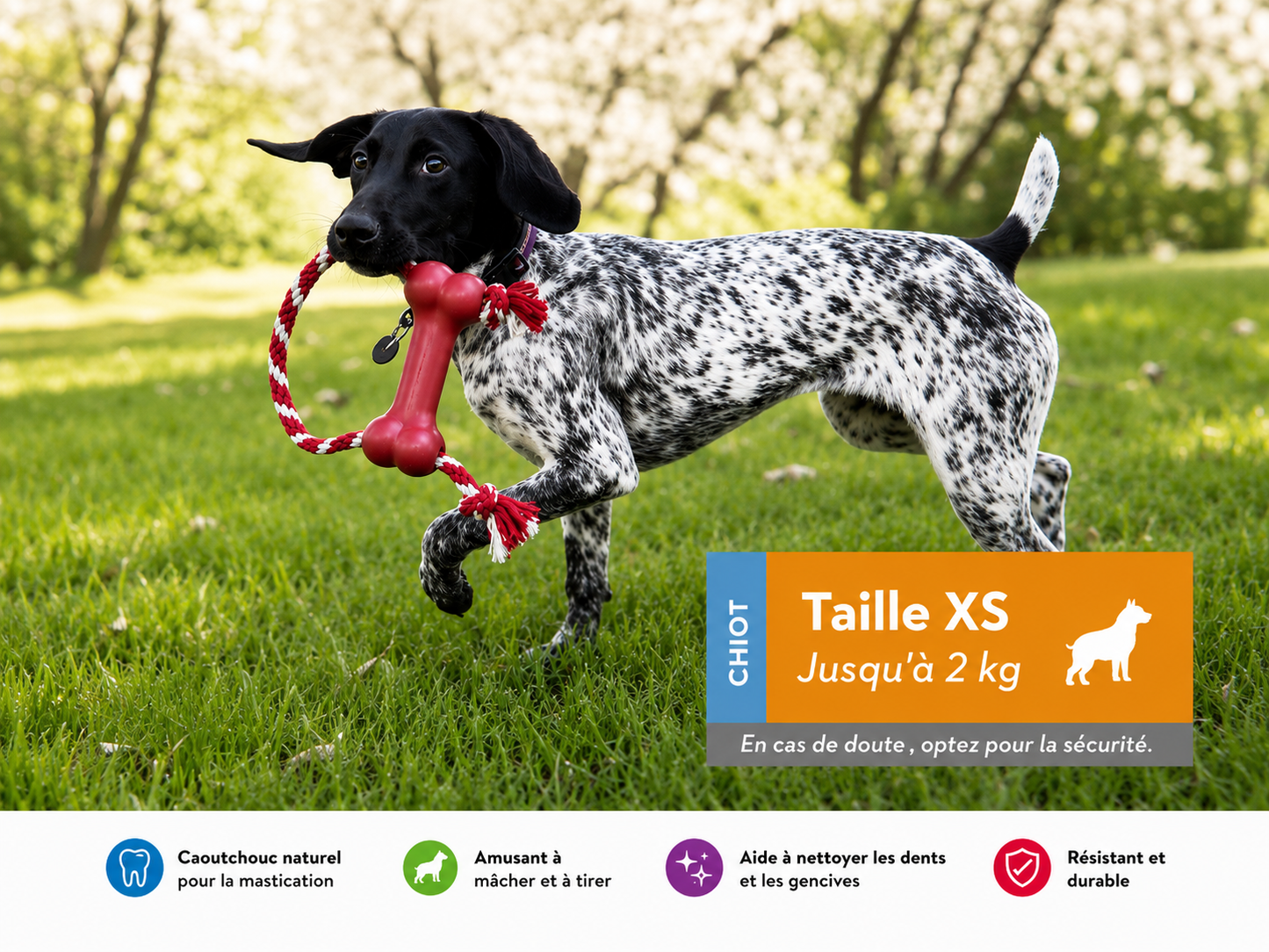 Bonie pour chiot avec corde (XS) KONG