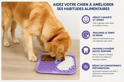 Tapis de léchage pour animaux