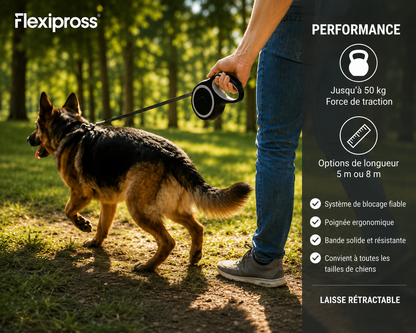 Laisse Rétractable pour chiens