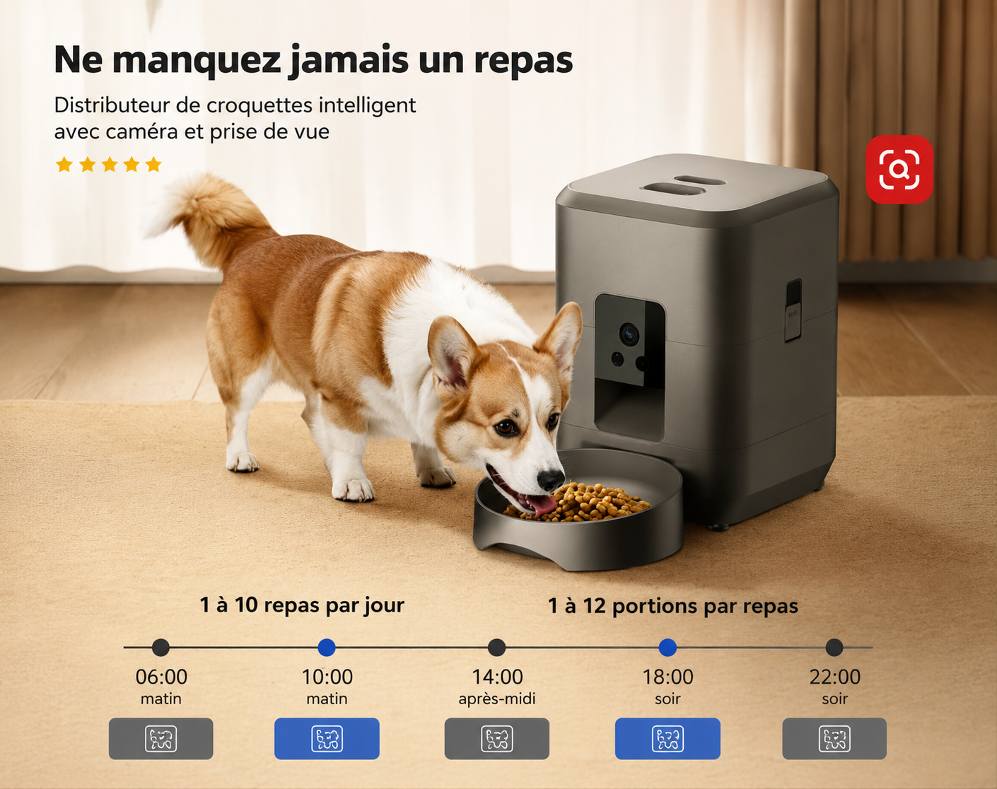 distributeur de croquettes connecté