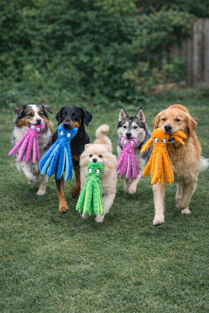 Jouet poulpe résistant à la mastication