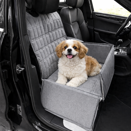 Siège de voiture portable